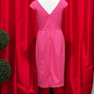 D8103 Banana Republic pink fitted dress